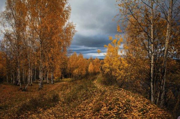 Осень октябрь природа