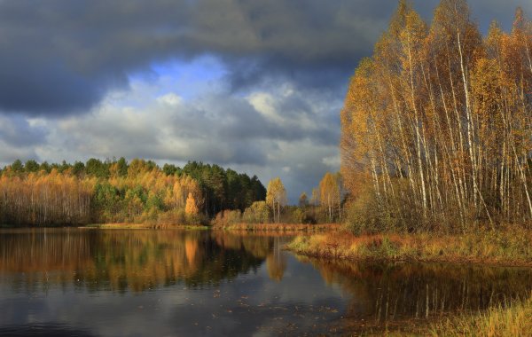 Октябрь природа