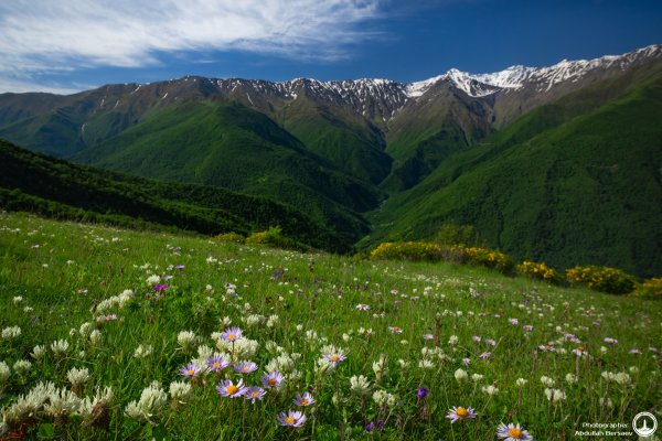 Чеченская Республика Абдуллах Берсаев