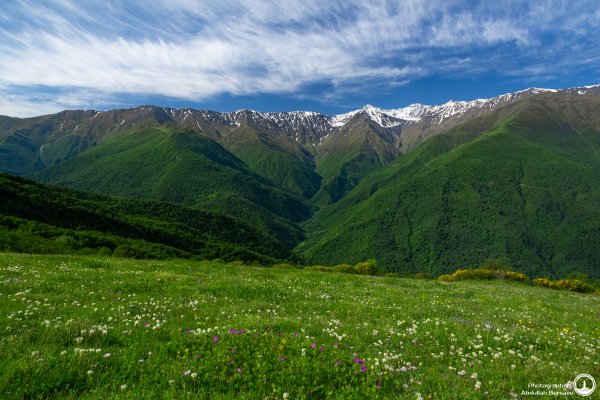 Природа Чеченской Республики