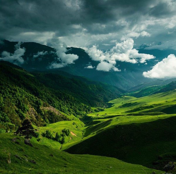 Абдуллах Берсаев фото