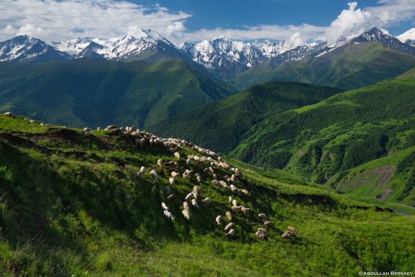 Горы Чеченской Республики