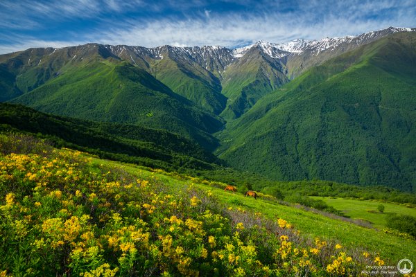 Луга Дагестана Альпийские Дагестана