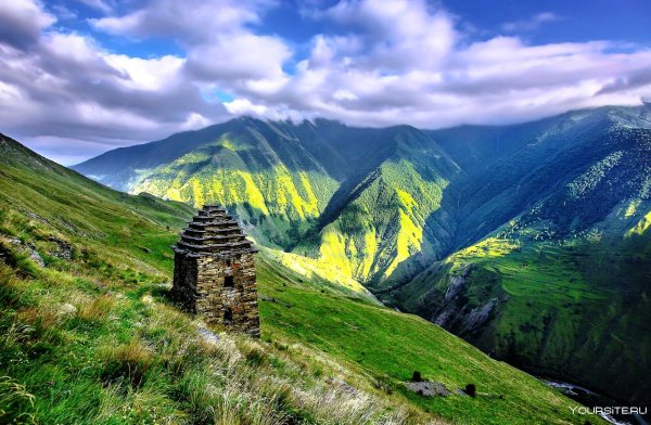 Цой Педе Чеченская Республика