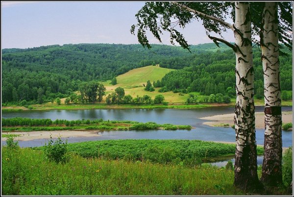 Природа родного края