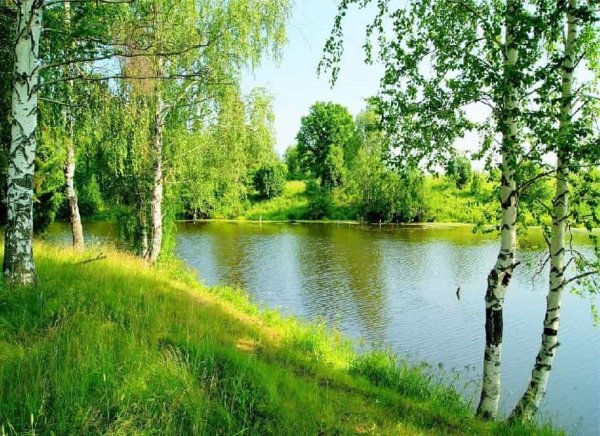 Россия Родина моя природа