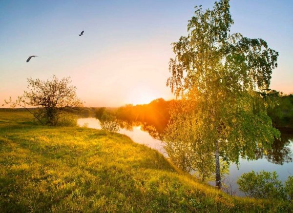 Природа нашей Родины