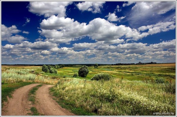 Слайды природа России