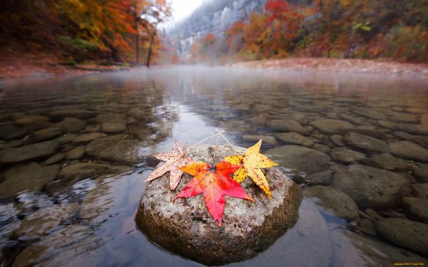 Осень вода
