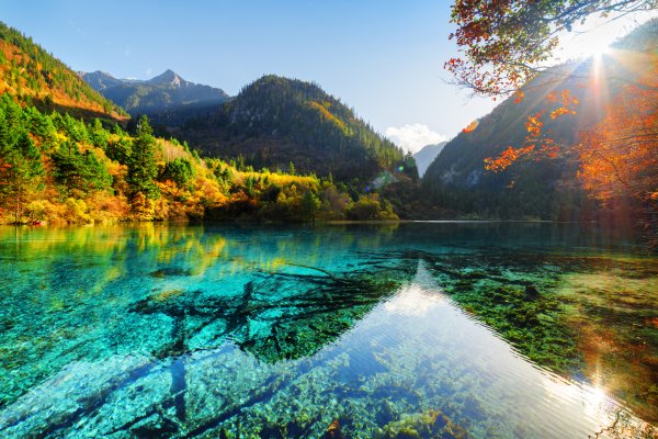 Водопад в лесу