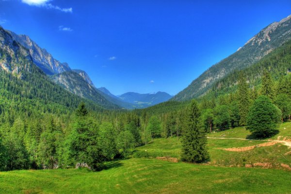 Бавария Германия природа Вильдштайгер