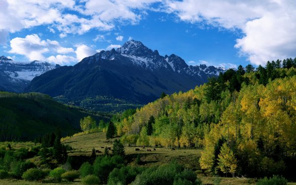 Катон Карагай