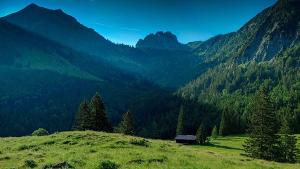 Природа горы лес