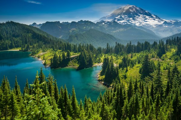 Пейзаж горы лес