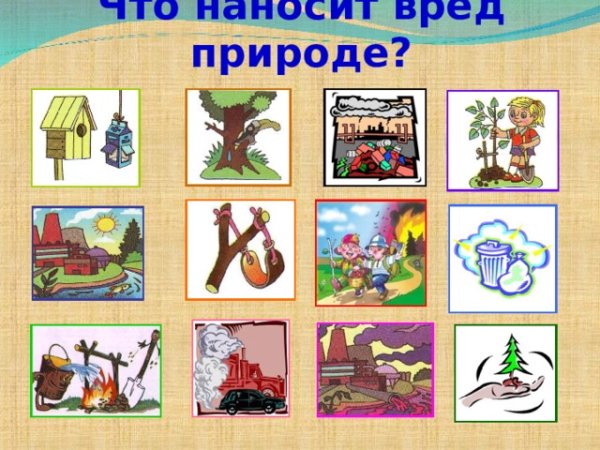 Вред природе
