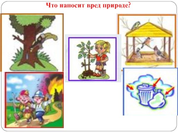 Что наносит вред природе