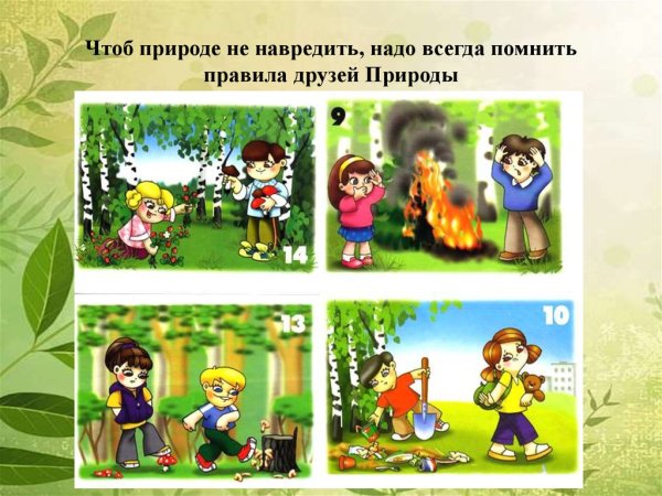 Как мусор вредит природе
