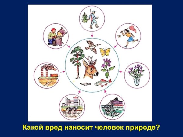 Вред человека природе