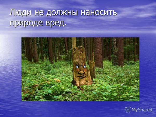 Человек вредит природе