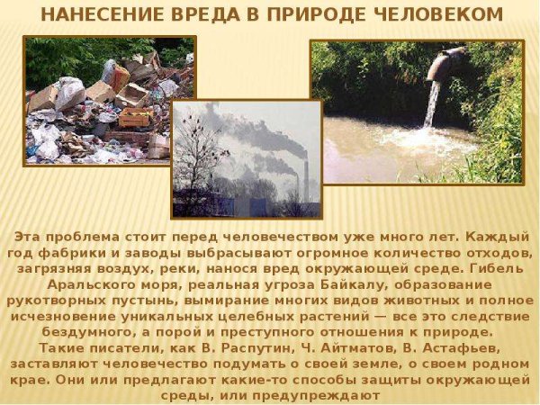 Как человек вредит экологии