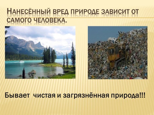 Мусор в лесу