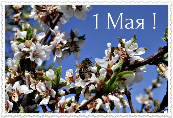 Первое мая природа