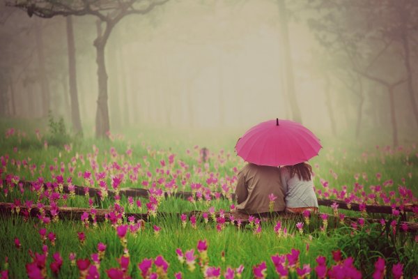Необычная природа