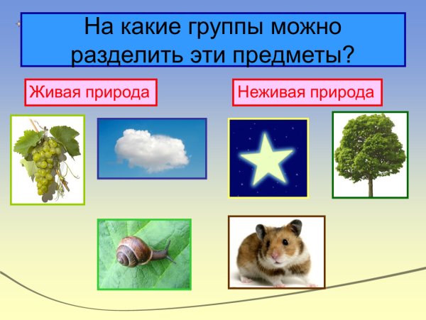 Живая и неживая природа