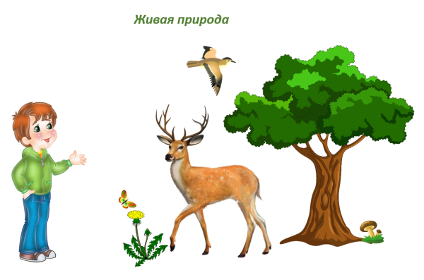 Живая природа для детей