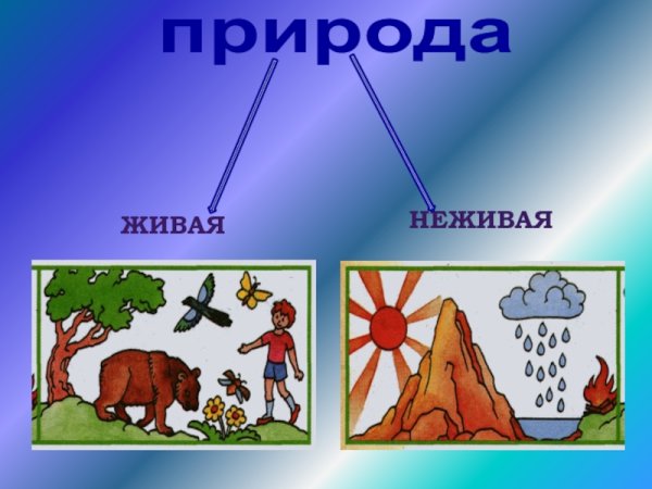 Объекты неживой природы 2 класс окружающий мир