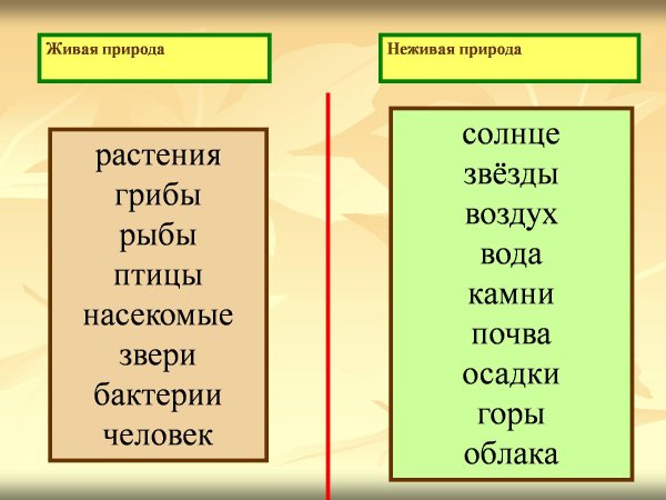 Что относится к живой и неживой природе