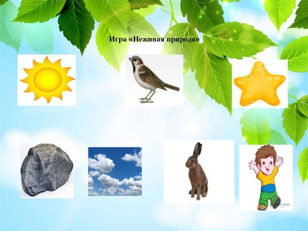 Живая природа
