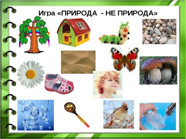 Природные и рукотворные предметы