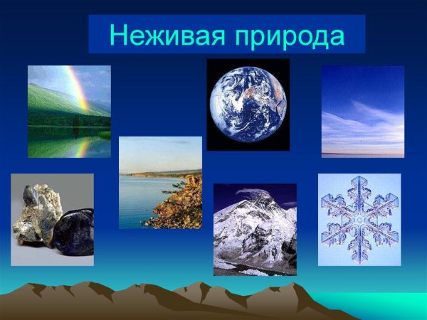 Объекты неживой природы