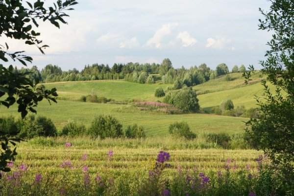 Родина природа