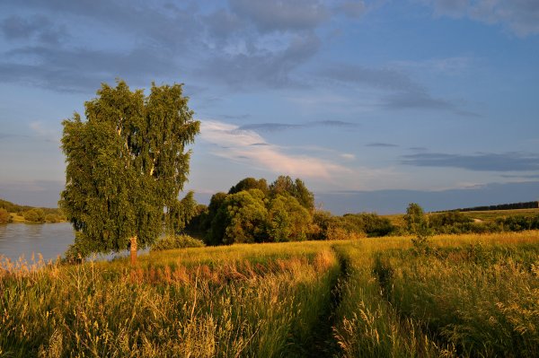 Родина природа