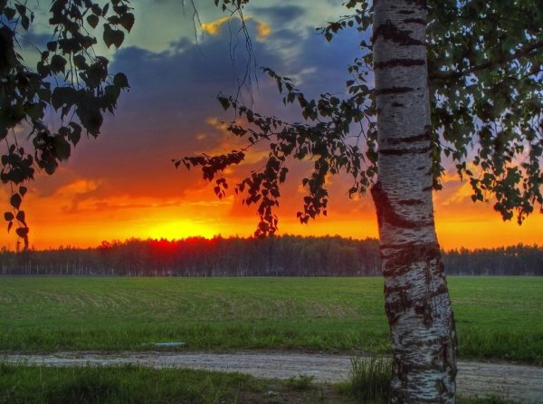 Природа нашей Родины