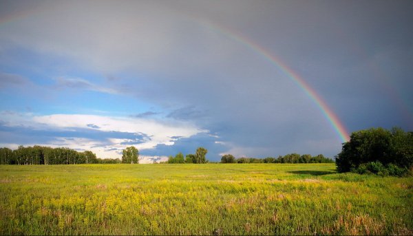 Природа храм Белозерск