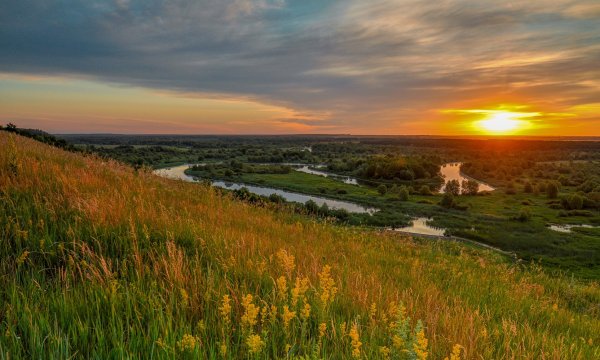 Есенин родной край родные просторы