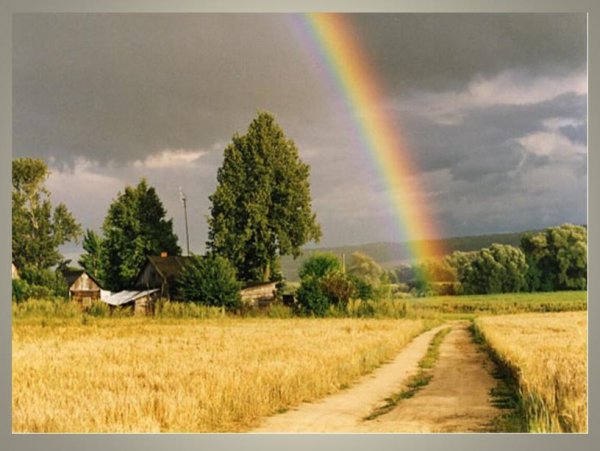 Ромашки и храм