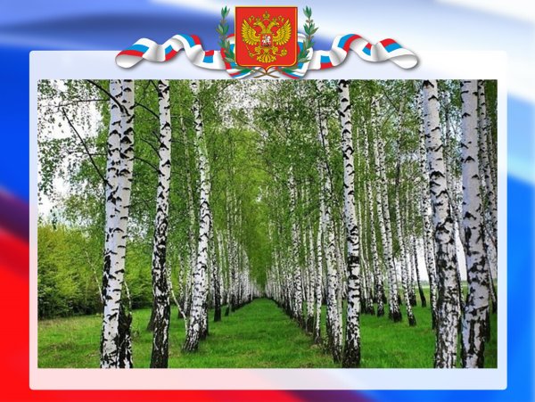 Фотохудожник Игорь Зенин родная земля