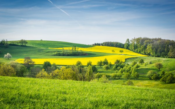 Луга Белоруссии
