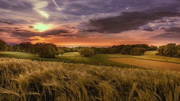 Русская природа