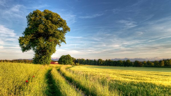 Русская природа
