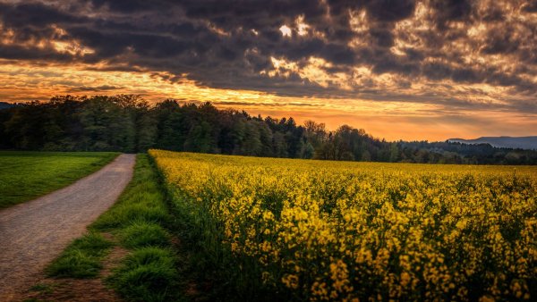 Природа рассвет