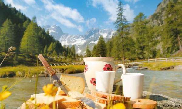 Утреннее чаепитие