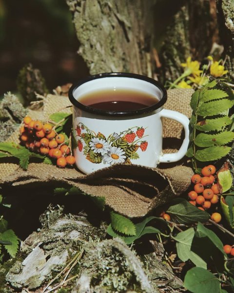 Осенний чай