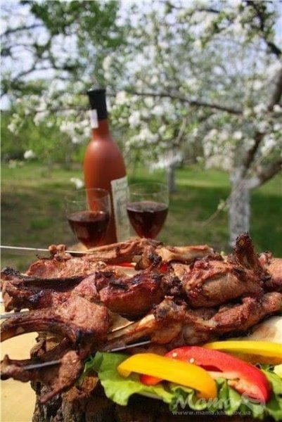 Шашлыки на природе
