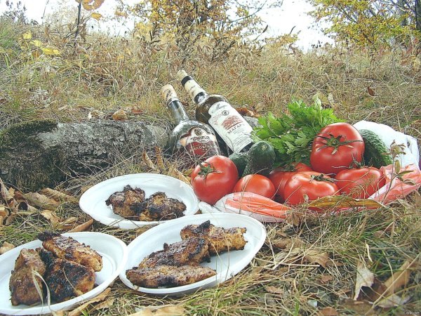 Шашлык и вино