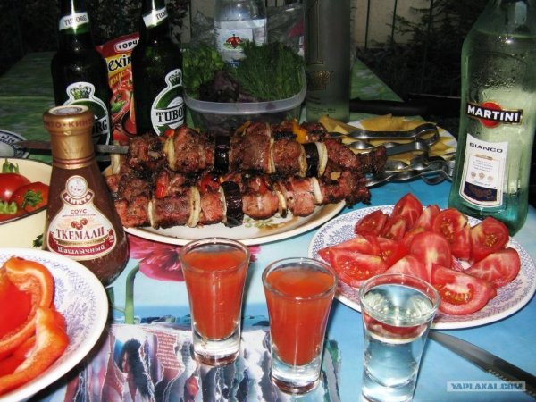 Компания на шашлыках